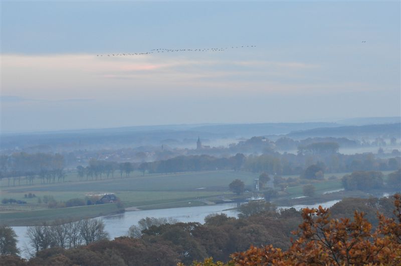 Blick vom Höhbeck nach Lenzen über die Elbe. 